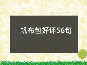 帆布包好評(píng)56句