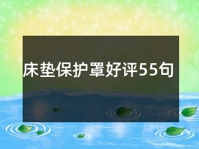 床墊保護罩好評55句
