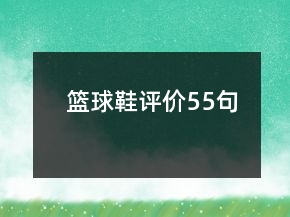 籃球鞋評價55句