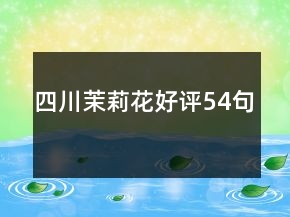 四川茉莉花好評(píng)54句