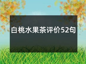 白桃水果茶評(píng)價(jià)52句