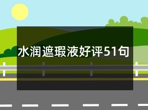 水潤遮瑕液好評51句
