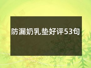 防漏奶乳墊好評53句
