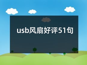 usb風(fēng)扇好評51句