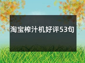 淘寶榨汁機(jī)好評53句