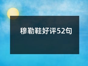 穆勒鞋好評52句