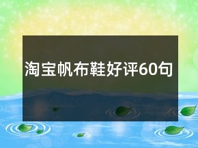 淘寶帆布鞋好評(píng)60句