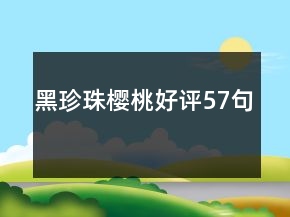黑珍珠櫻桃好評(píng)57句