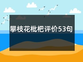 攀枝花枇杷評價(jià)53句