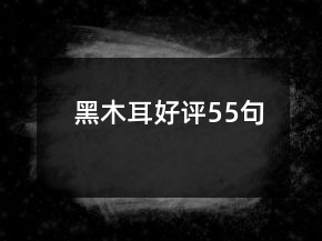 黑木耳好評55句