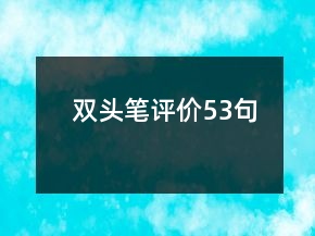 雙頭筆評(píng)價(jià)53句