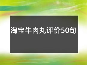 淘寶牛肉丸評價(jià)50句