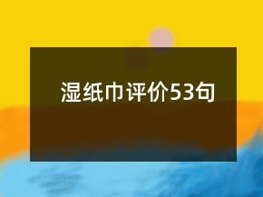 濕紙巾評(píng)價(jià)53句