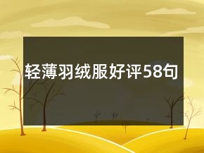 輕薄羽絨服好評58句