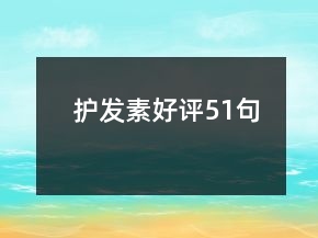 護發(fā)素好評51句