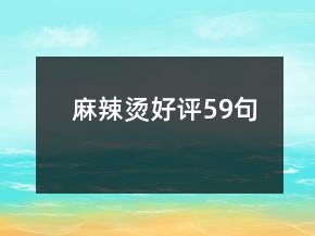 麻辣燙好評(píng)59句