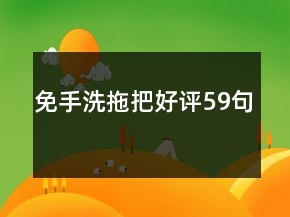 免手洗拖把好評59句