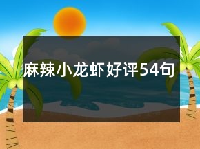 麻辣小龍蝦好評54句