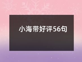 小海帶好評56句