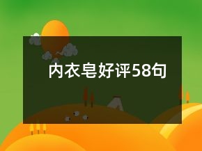 內(nèi)衣皂好評(píng)58句