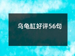 烏龜缸好評56句