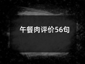 午餐肉評(píng)價(jià)56句