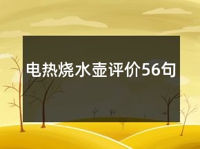 電熱燒水壺評(píng)價(jià)56句