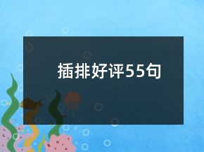 插排好評(píng)55句