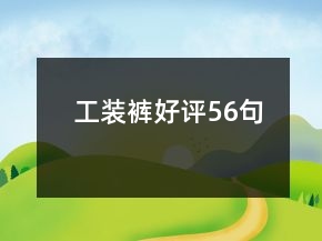 工裝褲好評(píng)56句