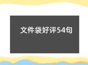 文件袋好評54句