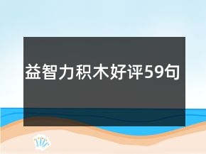 益智力積木好評59句