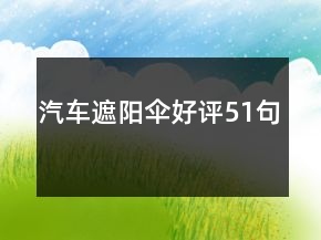 汽車遮陽傘好評51句