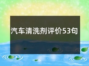 汽車清洗劑評價53句