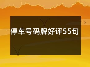 停車號(hào)碼牌好評(píng)55句