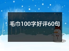 毛巾100字好評60句