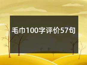 毛巾100字評價57句