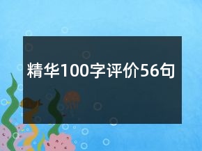 精華100字評價(jià)56句
