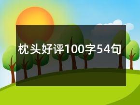 枕頭好評(píng)100字54句