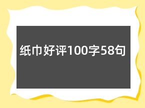 紙巾好評(píng)100字58句