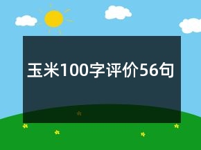 玉米100字評(píng)價(jià)56句