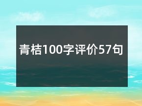 青桔100字評價57句