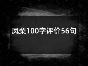 鳳梨100字評(píng)價(jià)56句