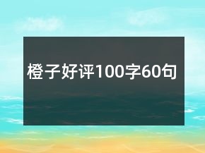 橙子好評100字60句