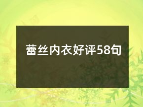 蕾絲內(nèi)衣好評(píng)58句