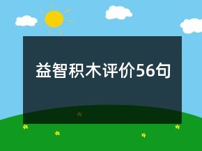 益智積木評價56句