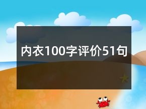 內(nèi)衣100字評價51句