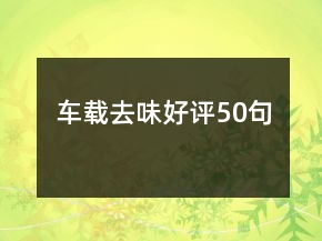 車載去味好評(píng)50句