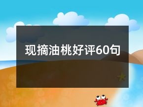 現(xiàn)摘油桃好評(píng)60句