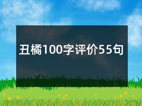 丑橘100字評價55句