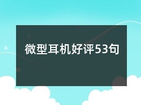 微型耳機(jī)好評(píng)53句